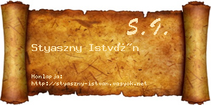 Styaszny István névjegykártya
